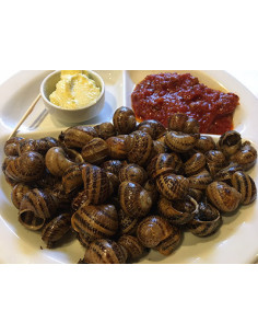 Caracoles a la catalana de Restaurant Can Saló