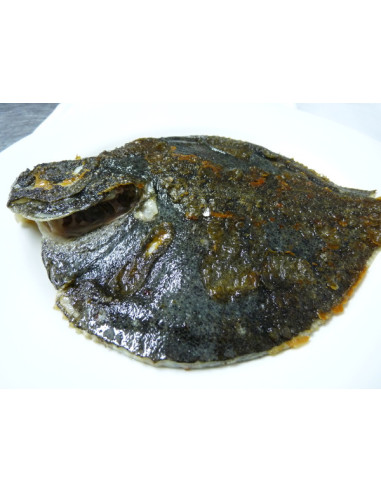 Rodaballo a la brasa de Restaurant Can Saló